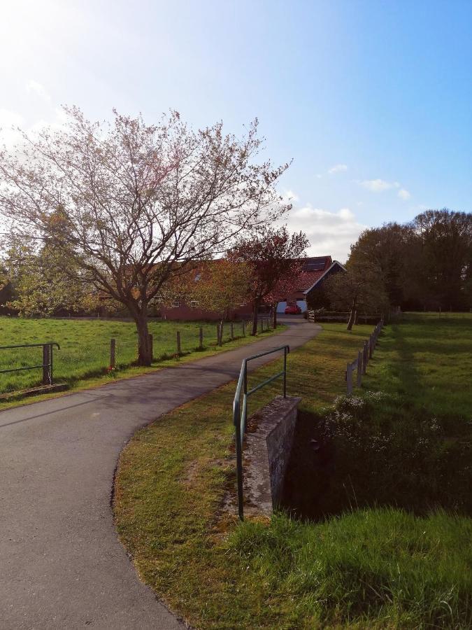 Am Waldrand Appartement Schuettorf Buitenkant foto